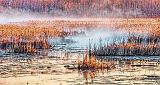 Misty Swale At Sunrise_P1110125-7